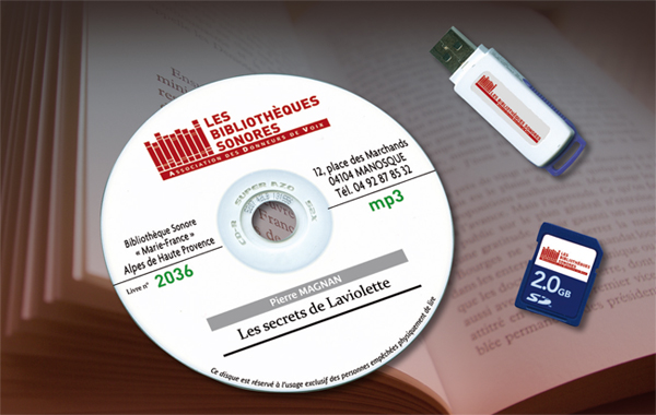 Les trois types de support numriques : C_D_rom, clé USB, carte-mémoire S_D 